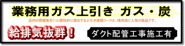 ダイホー業務用上引きガス・炭